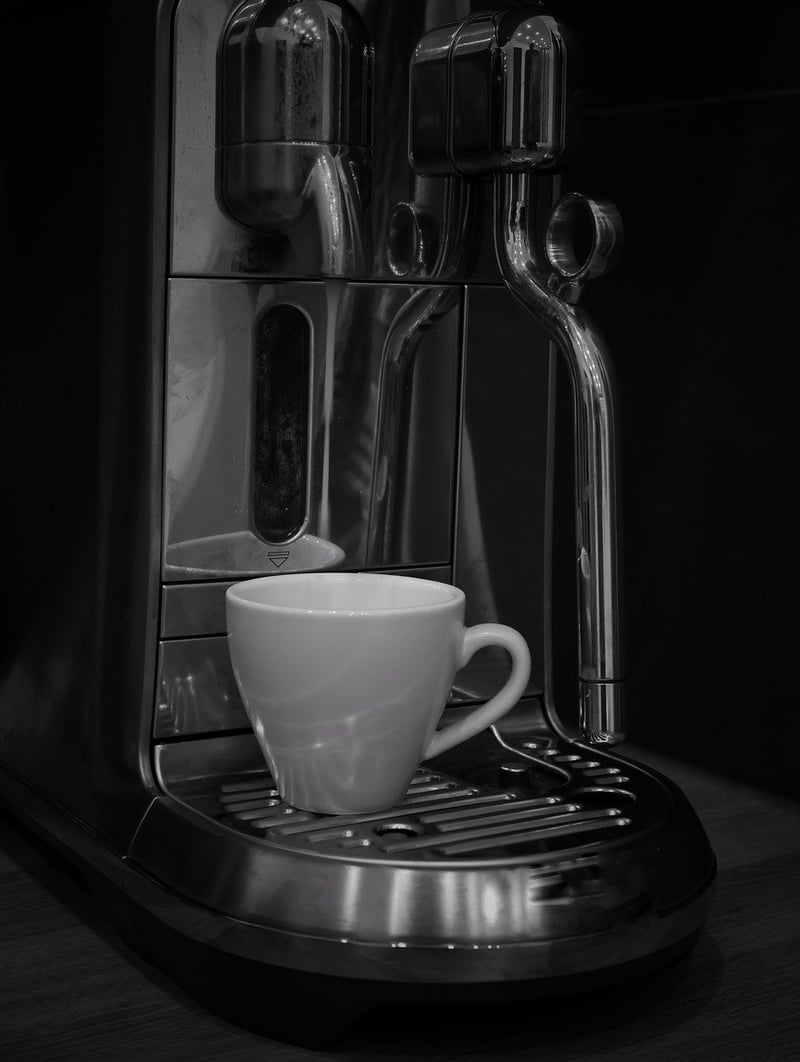 Monochrome Magic